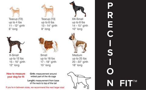 Step n Go Size Chart